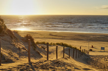 Sunset At The Beach Of Bloemendaal Aan Zee With Seagulls And Marram Grass, Holland, Netherlands