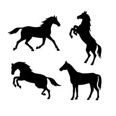 set of silhouette of horses. isolated black silhouette of galloping, jumping running, trotting, rear