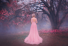 Mysterious Silhouette Princess. Young Blonde Woman Queen Turned Away. Backdrop Autumn Nature Mystic Blue Fog Pink Full Bloom Fairy Tree Black Trunk. Spring Pink Long Elegant Vintage Dress Bare Back