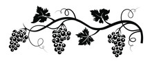 Black Silhouette Of Grapes. Vector Illustration.