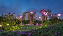Futuristic Aerial View Of Amazing Illumination At Garden By The Bay Day To Night Timelapse In Singapore.