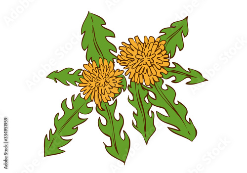 タンポポの花イラスト素材 Buy This Stock Vector And Explore Similar Vectors At Adobe Stock Adobe Stock タンポポの花イラスト素材 Buy This Stock Vector And Explore Similar Vectors At Adobe Stock Adobe Stock