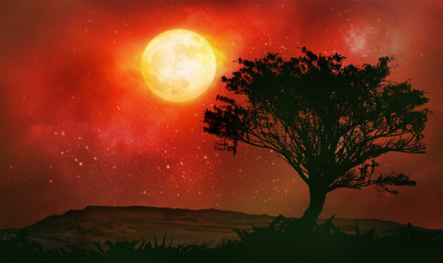 Wall Mural - magic night lanscape with starry sky, full red moon and tree
