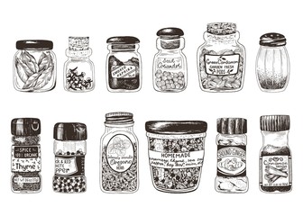 Spices in jars, hand drawn set with thyme, paprika, cinnamon, ginger, coriander, cardamom, pepper, oregano, bay leaf, clove and homemade mix spices. Vector drawing illustration in vintage style.