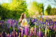 A young beautiful girl in a yellow dress holds a basket of purple lupins in a blooming field. Blooming Lupin flowers. environmentally friendly. The concept of nature. Soft focus.