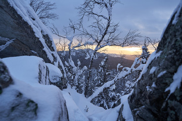 Winter forest with snow-covered fir trees high in the mountains. Dawn with bright colors on the horizon far away in the mountains. Golden clouds with the first rays of the sun.