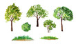 © Marina Lahereva - hand drawn watercolor illustration set of green summer spring tree with brown trunk bush grass. Painted landscape design element. Eco ecological biology environment concept. Forest wood woodland