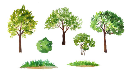 hand drawn watercolor illustration set of green summer spring tree with brown trunk bush grass. Painted landscape design element. Eco ecological biology environment concept. Forest wood woodland