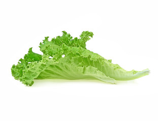 Wall Mural - salad leaf. lettuce isolated on white background