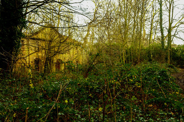 Wall Mural - An abandoned house in the middle of the forest no one lives anymore