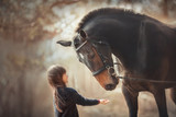 Little girl with horse at summer evening day