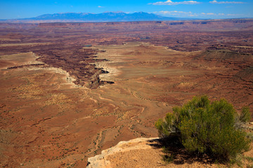 Utah / USA - August 11, 2015: Island In The Sky Canyolands National Park landscape, Utah, USA