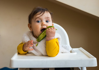 healthy cute caucasian baby boy have, eat vegan raw supplementary food at home in his highchair. veg