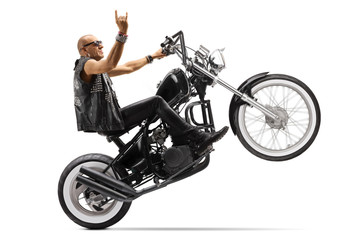 Canvas Print - Hardcore biker riding a chopper on one wheel and gesturing rock and roll sign