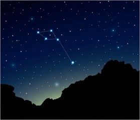 Wall Mural - constellation dolphin in deep space