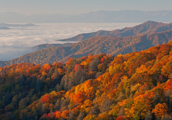 Wall Mural - Autumn landscape of the Smoky Mountains in fog, Deep Creek Overlook, Great Smoky Mountains National Park, North Carolina, USA