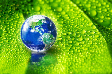 Earth on green leaf with drops of water in soft sunlight, The world need refreshment concept and Environmental concept, Elements of this image furnished by NASA