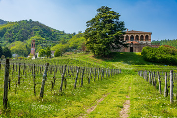 Canvas Print - Villa dei Vescovi in Luvigliano