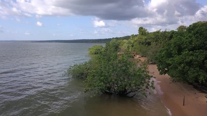 Wall Mural - Aerial drone view of beautiful landscape with trees, blue sky, clouds and beach of Tapajos River on sunny summer day in the Amazon rainforest. Concept of environment, ecology and climate change. 4K.