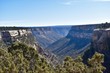 Canyon du mesa verde