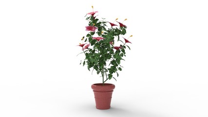 3d rendering of a house plant model computer generated