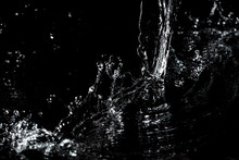 Splashes And Drops Of Water Are On A Black Background.
