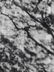 Aufkleber - Tree branch shadow silhouette on modern building metal wall Nature abstract background