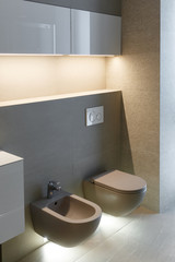 Brown toilet and bidet. Modern wc interior. Economic toilet white flush press with two separate buttons for flushing toilet. Bottom light. Shelf with statuette.