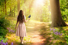 Lady Girl With Long Hair In Dress With Bird In Hand Walking In Fantasy Enchanted Fairy Tale Spring Forest With Blooming Flowers And Sun Rays, Mysterious Road Goes Through Trees In Magical Elvish Wood