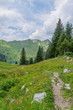 Wanderweg  vorbei an Wiesen und Bergen im Berner Oberland– Erlenbach, Simmental, Schweiz