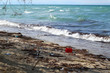 Sea pollution, plastic waste on beach. Garbage at coast.