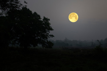 Wall Mural - Beautiful full moon in countryside of Thailand