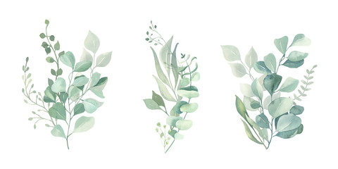 Watercolor green eucalyptus, olive  leaves. Watercolor floral illustration collection  - green leaf branches set for wedding stationary, wallpapers, background,  greetings. 