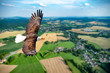 Adler fliegt in großer Höhe mit ausgebreiteten Flügeln an einem sonnigen Tag im Mittelgebirge.