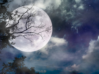 Wall Mural - beautiful bright full moon above wilderness area in forest. serenity nature background.