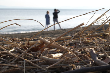 海岸に打ち上げられている藁のずっと向こうに人がいる there are people far beyond the straw being launched on the shore.