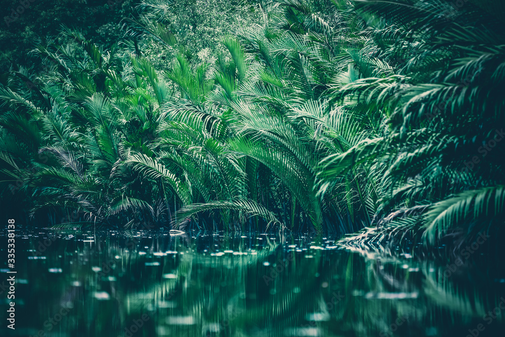 natural green filter, tropical forest with lake - obrazy, fototapety, plakaty 