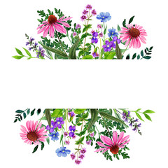 Wall Mural - Wild flowers banner with field flowers, pink and violet