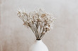 White wild dried flower in white ceramic vase closeup on grey background