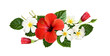 Red hibiscus and fragipani flowers with green leaves in tropical arrangement