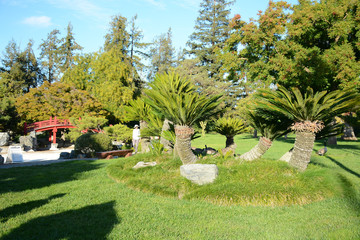 SAN JOSE, CALIFORNIA, USA - OCTOBER 6, 2019: Japanese Friendship Garden