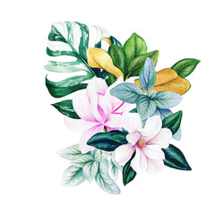 Wall Mural - Magnolia and leaves, bright watercolor bouquet, hand drawn