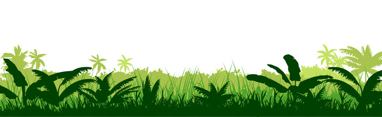 Wall Mural - tropical plants, herbs. the jungle, the savannah. vector. dense thickets of meadow. light foggy gree