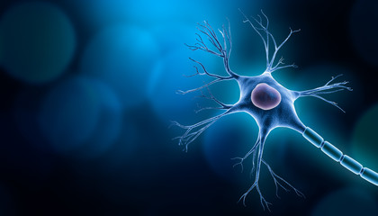 Neuron cell body with nucleus design, 3D rendering illustration with copy space and blue background. Neuroscience, neurology, biology, psychology, medicine, microbiology, scientific research concepts.