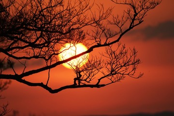 Poster - Sunrise sun and clouds / background material of wonderful natural scene.