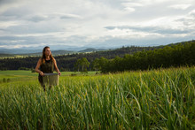Serene Woman Harvesting Fresh Garlic Scapes In Idyllic Field