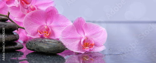 Dekoracja na wymiar  rozowy-kwiat-orchidei-i-kamienie-spa-z-kroplami-wody-na-bialym-tle