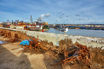 Boats in the old port in the city Essaouira,