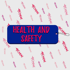 Poster - Handwriting text Health And Safety. Conceptual photo procedures intended to prevent accident in workplace Label tag badge rectangle shaped empty space string colorful background