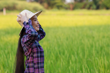 Sticker - portrait of woman modern farmer in rice field agricultural production. and golden rice field background